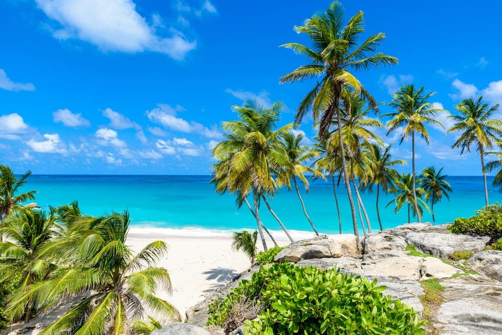 Barbados Vizesi