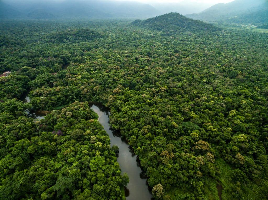 Gabon Vizesi