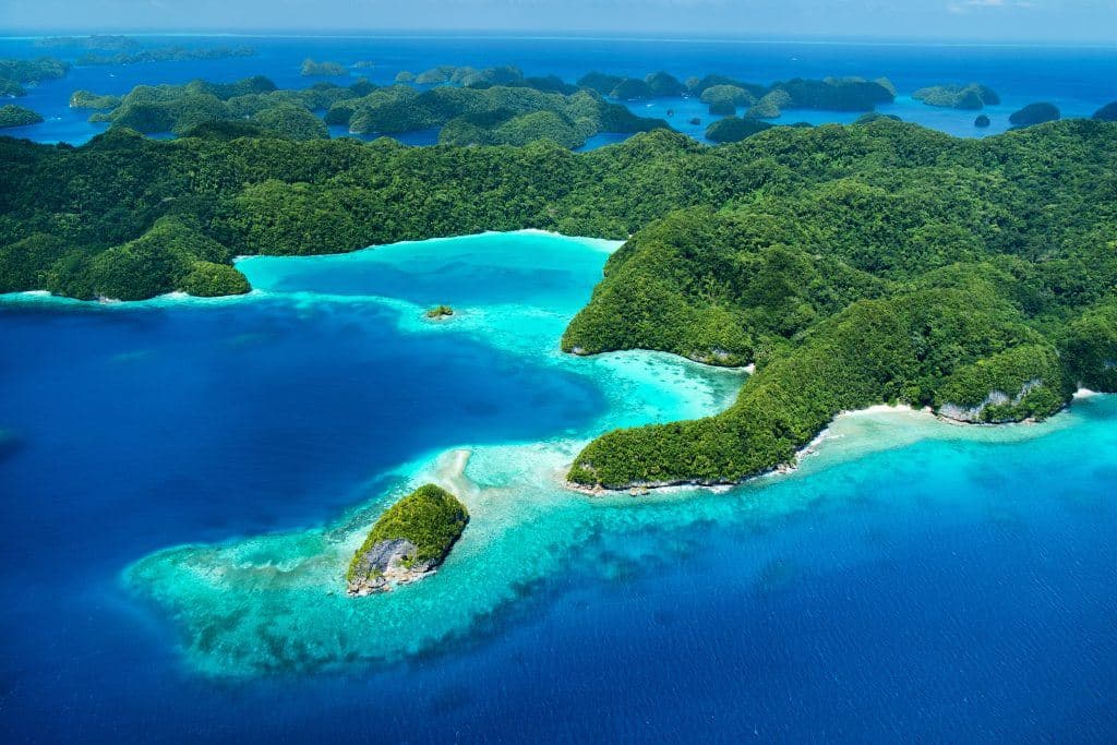 Palau Vizesi